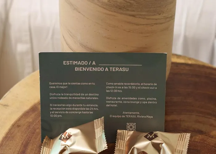 Terasu Riviera Maya Hotel&spa Luxury Edition, En Xcaret Solidaridad