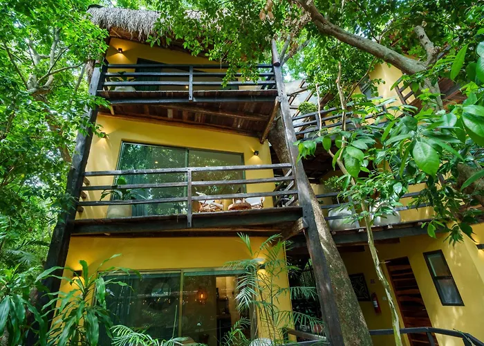 Terasu Riviera Maya Hotel&spa Luxury Edition, En Xcaret Hotel 5*
