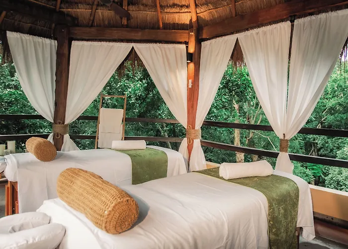 Hotel Terasu Riviera Maya Hotel&spa Luxury Edition, En Xcaret 5*